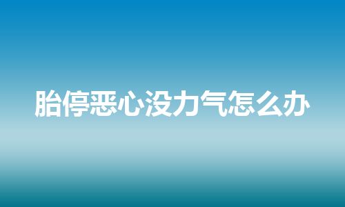 胎停恶心没力气怎么办