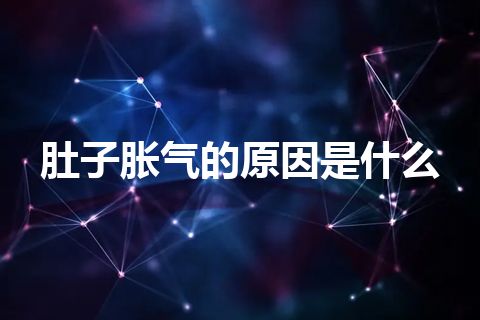 肚子胀气的原因是什么