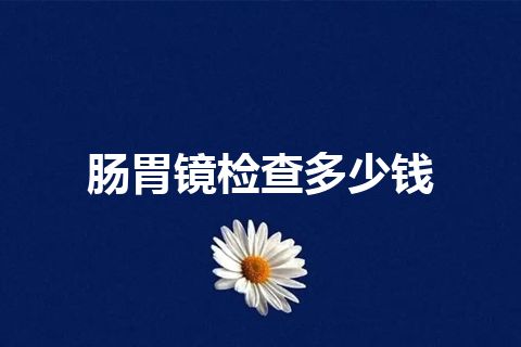 肠胃镜检查多少钱