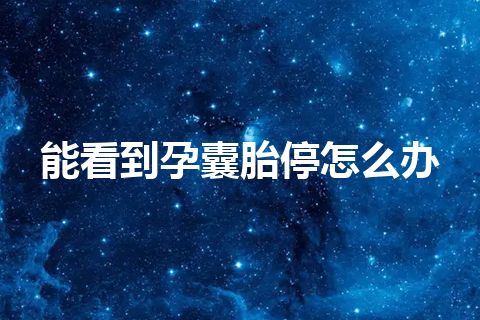 能看到孕囊胎停怎么办