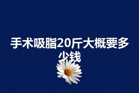 手术吸脂20斤大概要多少钱